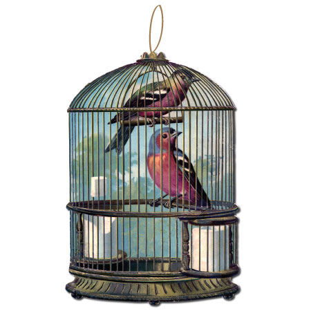 JAF Graphics. Vintage Bird Cage