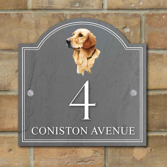 Picture of Golden Retreiver House Number sign