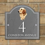 Picture of Golden Retreiver House Number sign