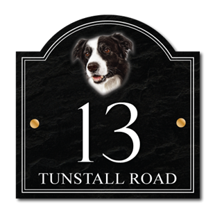 Picture of Border Collie House Number Sign