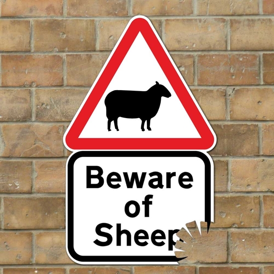 Picture of Funny Beware of Sheep Sign with bite mark, Joke Road Sign, Funny Farmer Gift