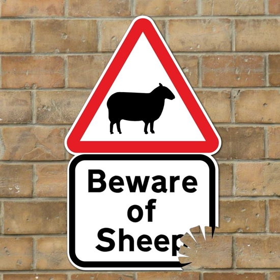 Car Stickers And Decals Beware Of Black