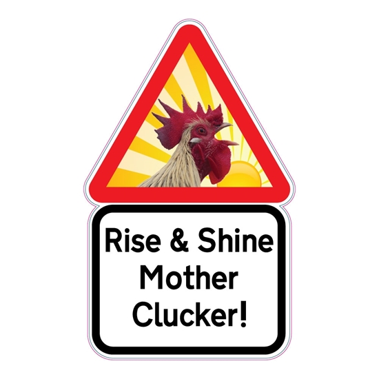 Picture of Funny Chicken Sign , Cockerel Hen Cock Chicken Coop Sign, Mother Clucker Sign