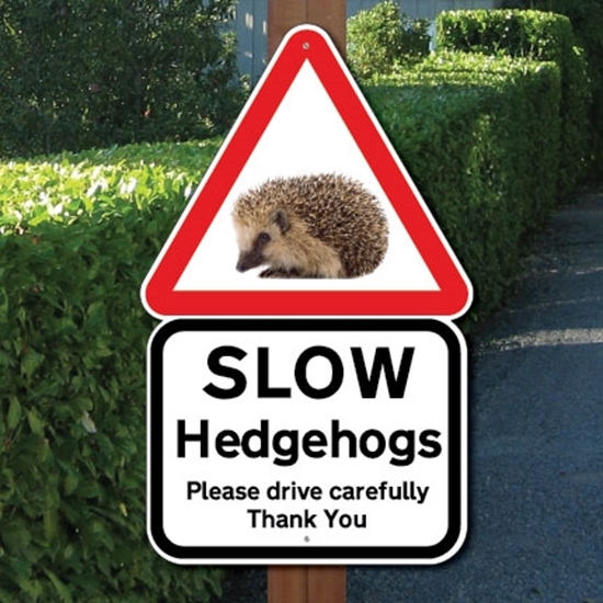 Picture of Slow Hedgehog Road Safety Sign