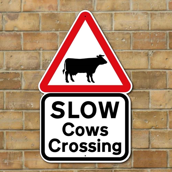 Picture of Cows Crossing Sign
