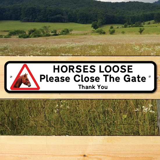 Picture of HORSES LOOSE