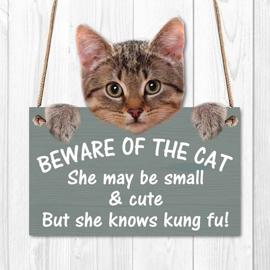 Picture of Beware Of The Cat