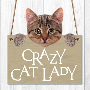Picture of CRAZY CAT LADY SIGN