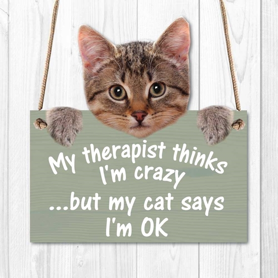 Picture of MY THERAPIST THINKS I'M...