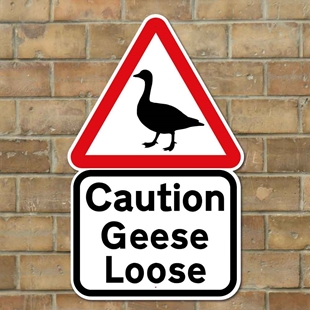 Picture of GEESE SIGN