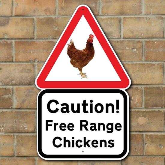 Picture of Caution Free Range Chicken Sign
