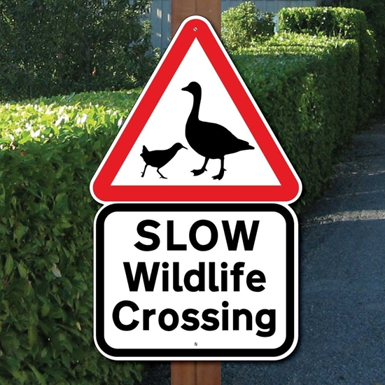 Picture of SLOW WILDLIFE CROSSING SIGN