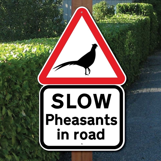 Picture of PHEASANTS IN ROAD SIGN