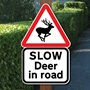Picture of DEER IN ROAD SIGN