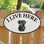 Picture of Black Lab I Live Here Sign