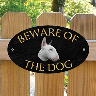 Picture of English Bull Terrier Beware of The Dog Gate Sign