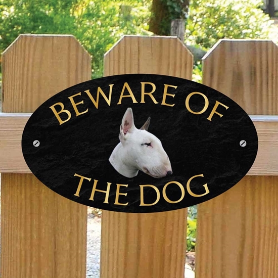 Picture of English Bull Terrier Beware of The Dog Gate Sign