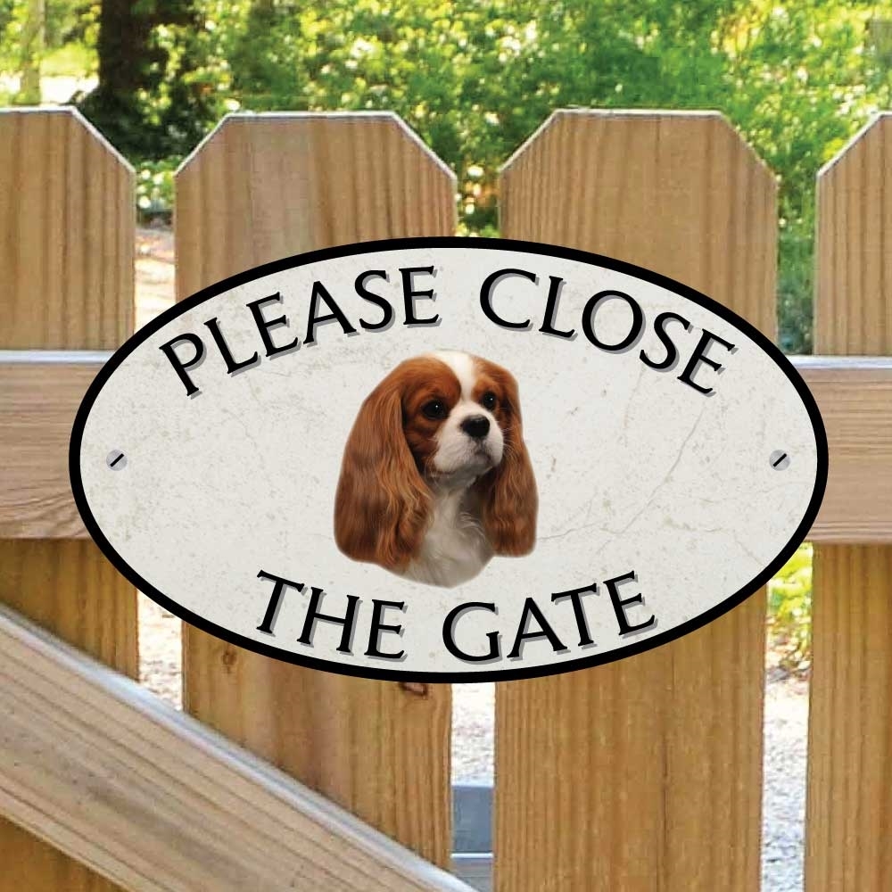 JAF Graphics. Cavalier King Charles Spaniel