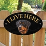 Picture of Rottweiler I Live Here Gate Sign