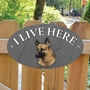 Picture of German Shepherd I Live Here Gate Sign