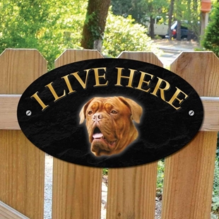 Picture of French Mastiff I Live Here Sign