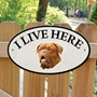 Picture of French Mastiff I Live Here Sign