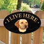 Picture of Golden Labrador I Live Here Sign