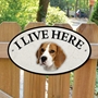 Picture of Beagle Dog I Live Here Sign