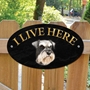 Picture of Schnauzer Dog I Live Here Sign