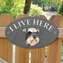 Picture of Schnauzer Dog I Live Here Sign