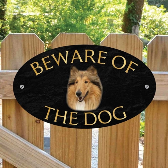 Picture of Rough Collie Beware of The Dog Sign