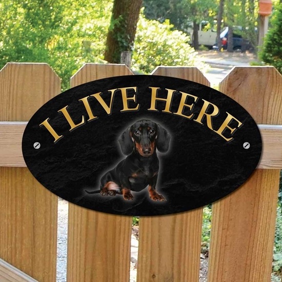 Picture of DACHSHUND Dog Gate Sign