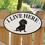 Picture of DACHSHUND Dog Gate Sign