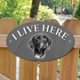 Picture of GERMAN POINTER Dog Gate Sign