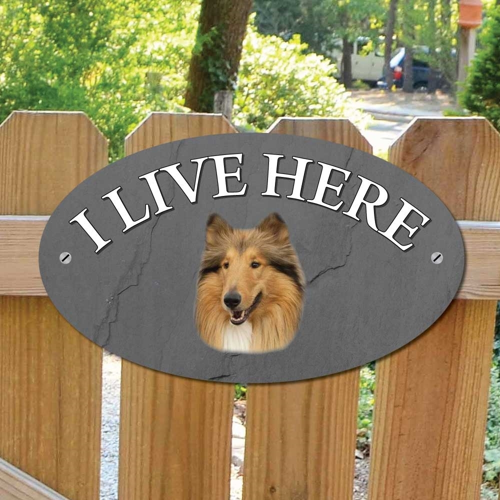 JAF Graphics. ROUGH COLLIE Dog Gate Sign