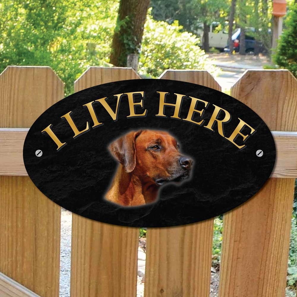 JAF Graphics. RHODESIAN RIDGEBACK Dog Gate Sign