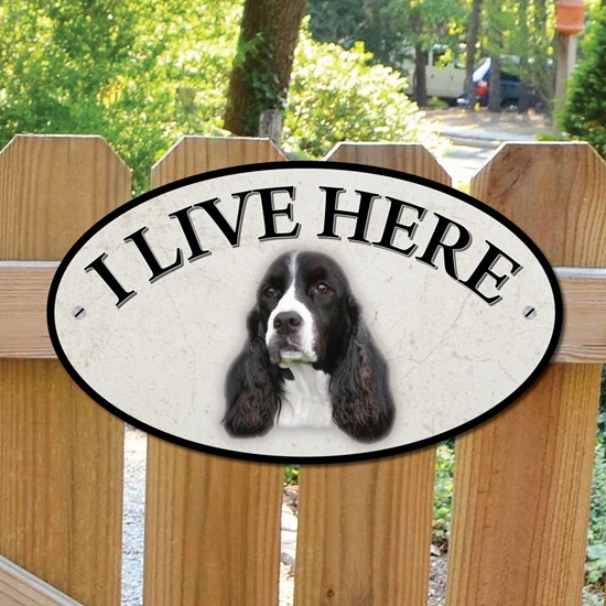 Picture of English Springer Spaniel I Live Here Sign