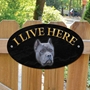 Picture of Blue Cane Corso Dog I Live Here Sign
