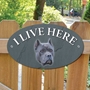 Picture of Blue Cane Corso Dog I Live Here Sign
