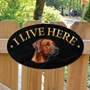 Picture of Rhodesian Ridgeback Dog I Live Here Sign