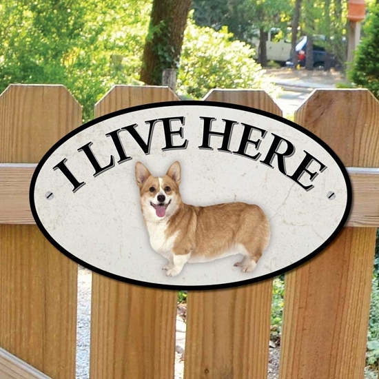 Picture of Corgi Dog I Live Here Sign