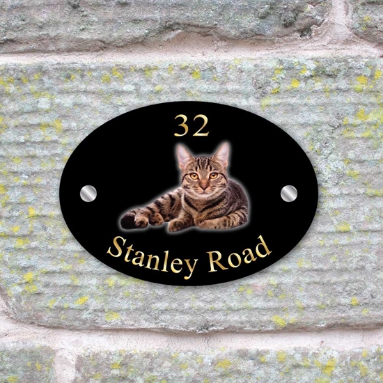 Picture of Personalised Tabby Cat House Sign