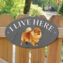 Picture of Pomeranian Dog I Live Here Sign