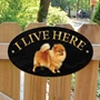 Picture of Pomeranian Dog I Live Here Sign