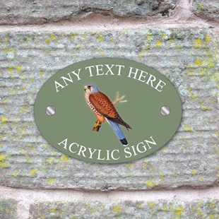 Picture of Kestral Bird House Sign Plaque