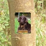 Picture of Outdoor Photo Tree Marker Plaque