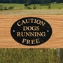 Picture of DOG RUNNING FREE Sign