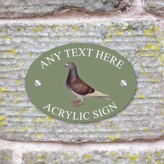 Picture of Personalised Racing Pigeon House Sign
