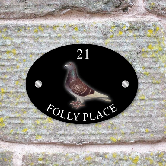 JAF Graphics. Personalised Racing Pigeon House Sign