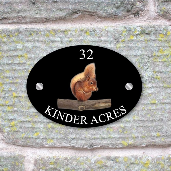 Picture of Personalised Red Squirrel House Sign